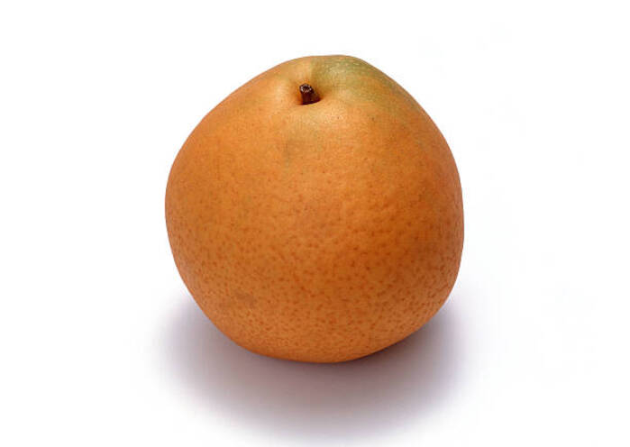 Asian Pear 1
