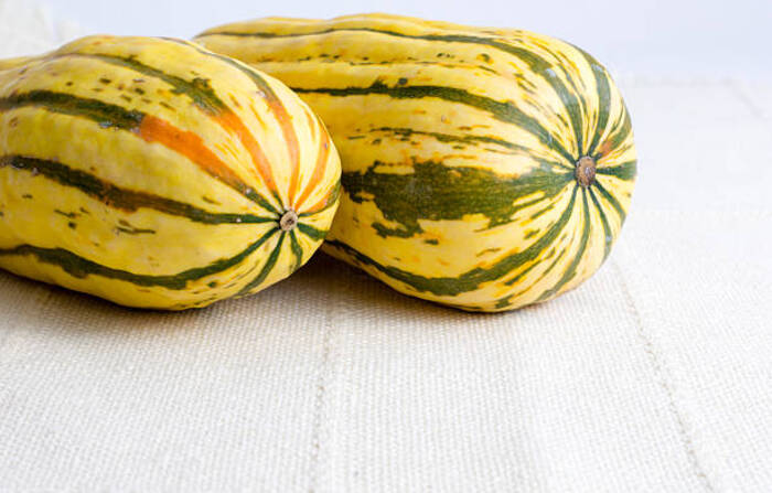 Quando possono mangiare la zucca delicata i bambini?