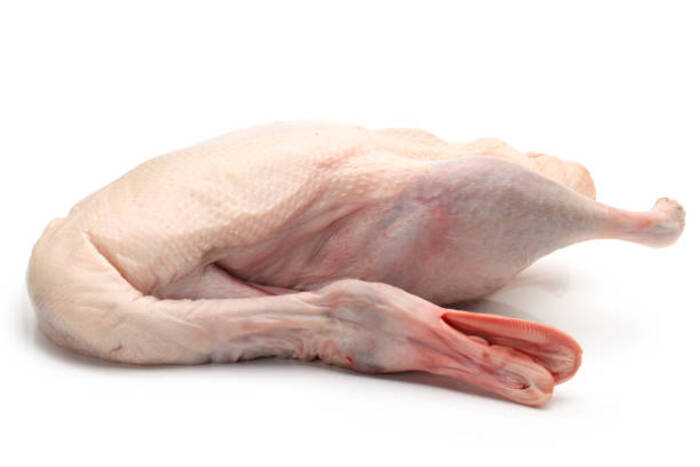 Quando possono i bambini mangiare l’anatra?