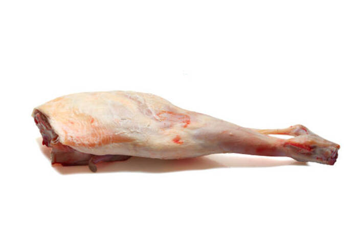 Quando possono mangiare i bambini la lepre?