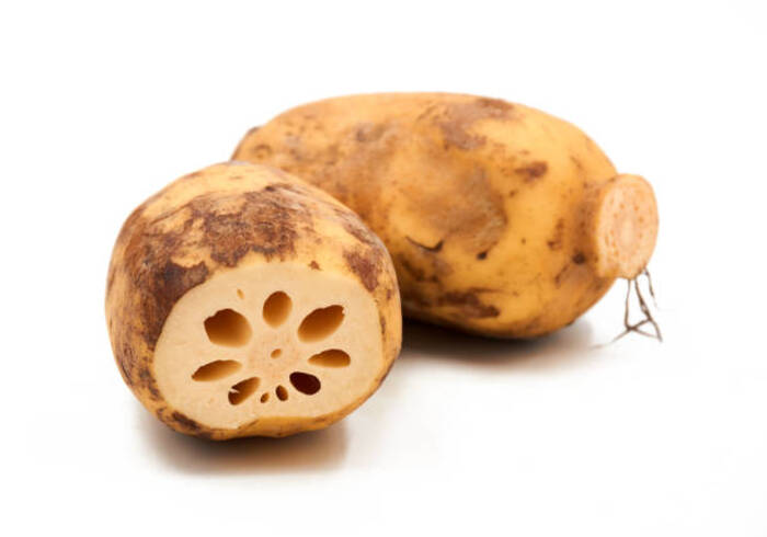 Quando possono i bambini mangiare la radice di loto?