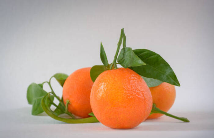 Mandarin Orange 1