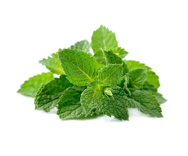 Quando possono i bambini mangiare la menta?