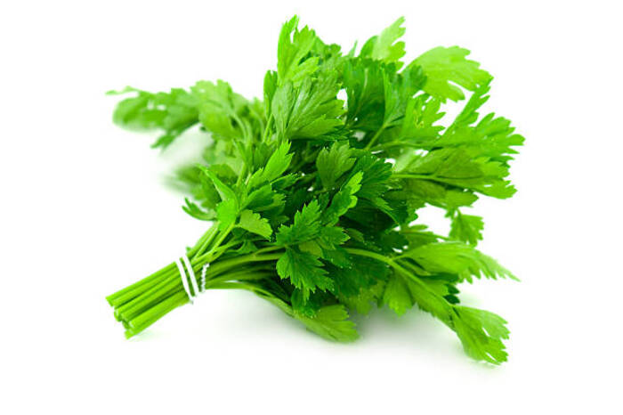 Parsley 1