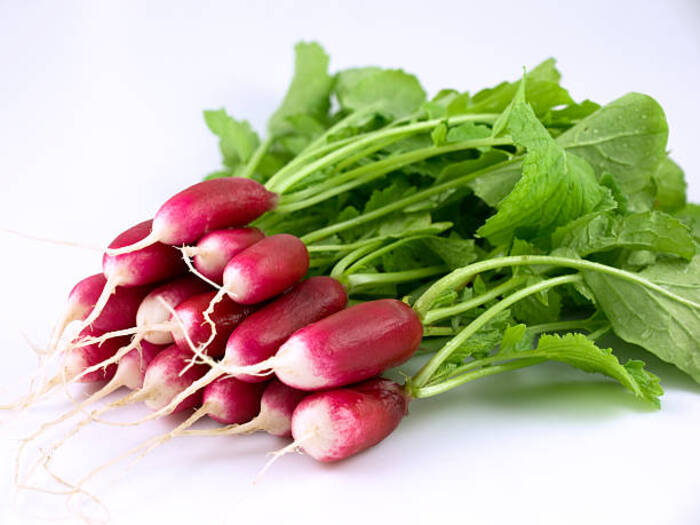 Radish 1