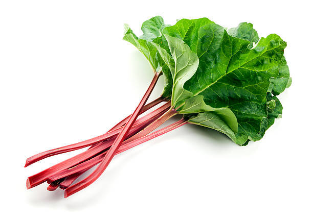 Rhubarb 1