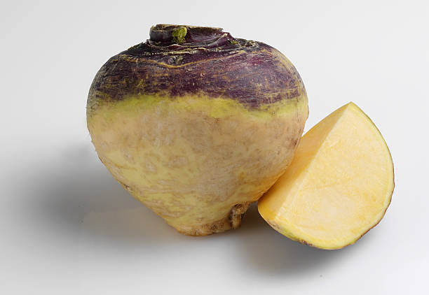 Rutabaga Swede 2