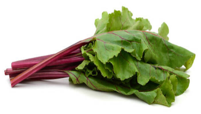 Swiss Chard 1 1