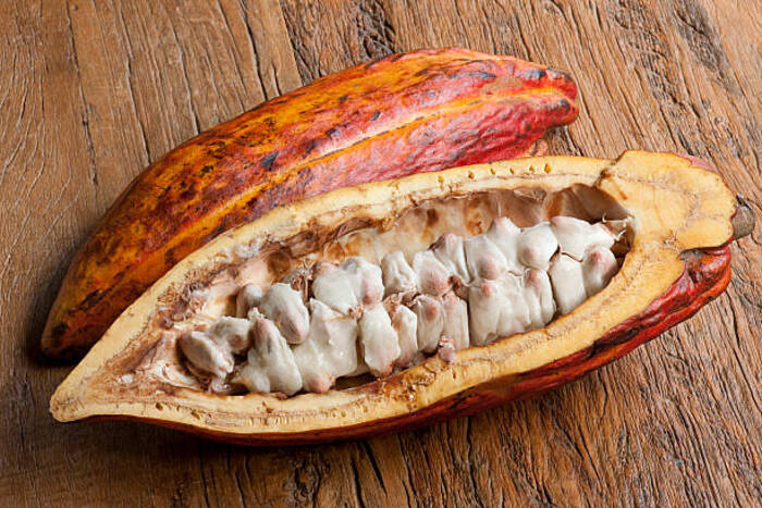 Quando i bambini possono mangiare cioccolato e cacao?