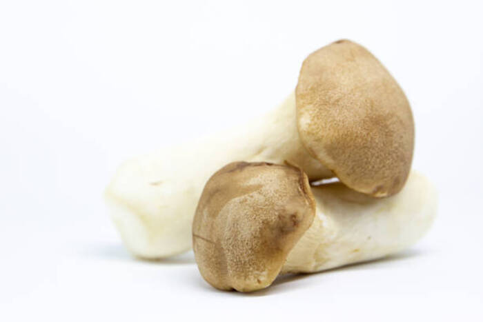 Quando i bambini possono mangiare i funghi porcini?