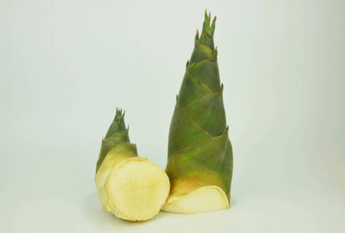 Quando possono i bambini mangiare il bambù?