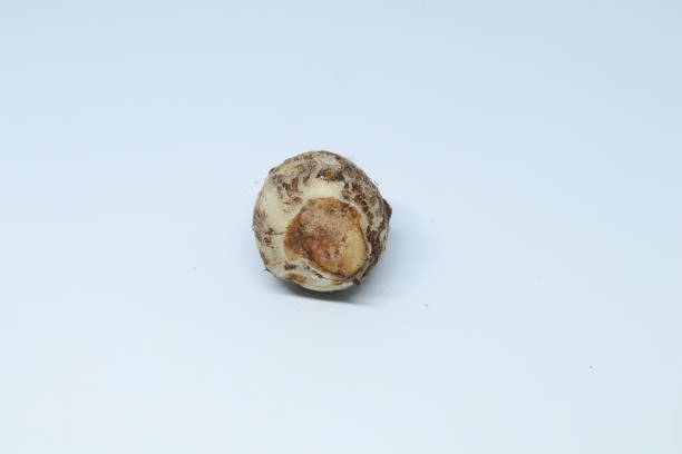 Quando possono mangiare i bambini il sedano rapa?