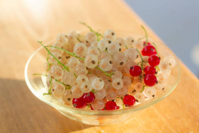 Quando possono i bambini mangiare i ribes?