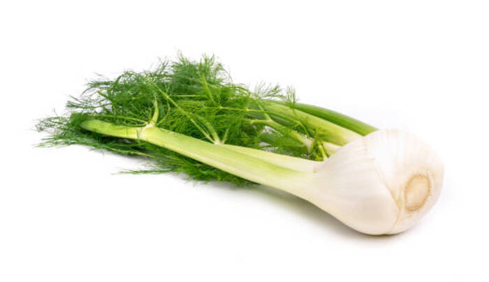 Quando possono i bambini mangiare il finocchio?