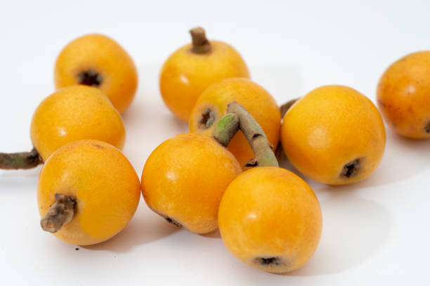 Quando possono mangiare lo zenzero i bambini?