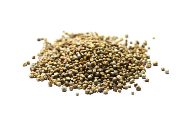 Quando possono i bambini mangiare i semi di senape?