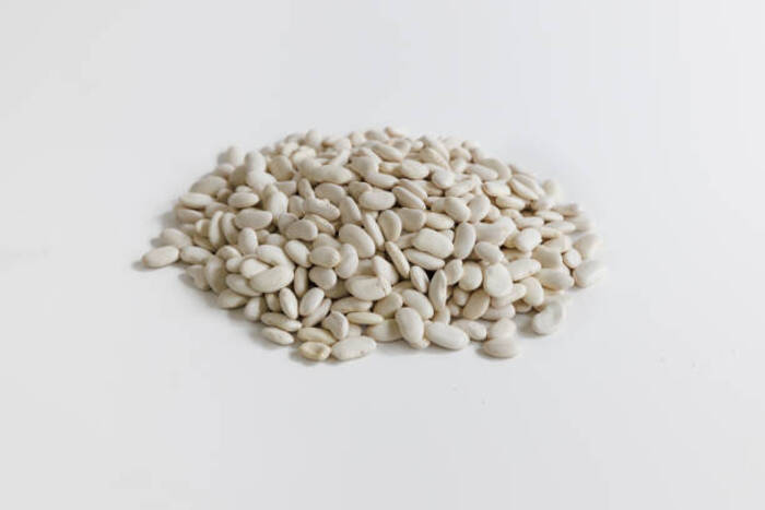 Quando Possono Mangiare i Fagioli Navy i Bambini?