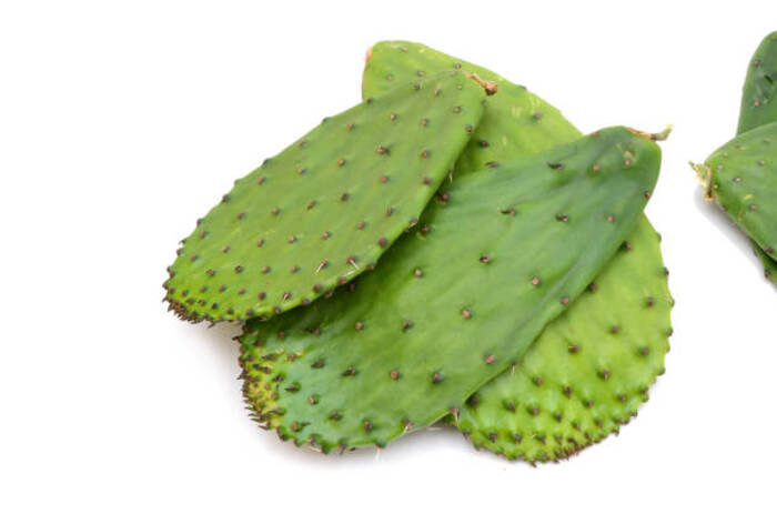 Quando possono i bambini mangiare i nopales?