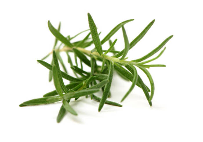 Quando possono i bambini mangiare l’origano?