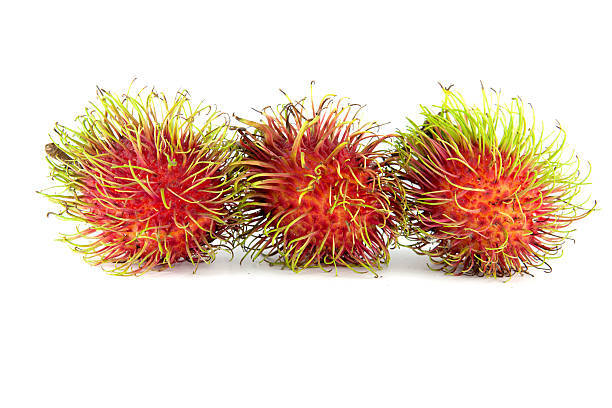 Quando possono i bambini mangiare il rambutan?
