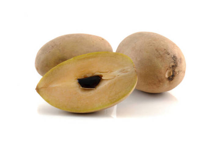 Sapodilla 2