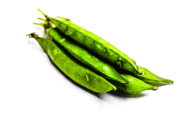 Snap Pea 1
