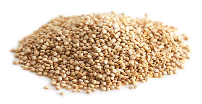 Sorghum 1