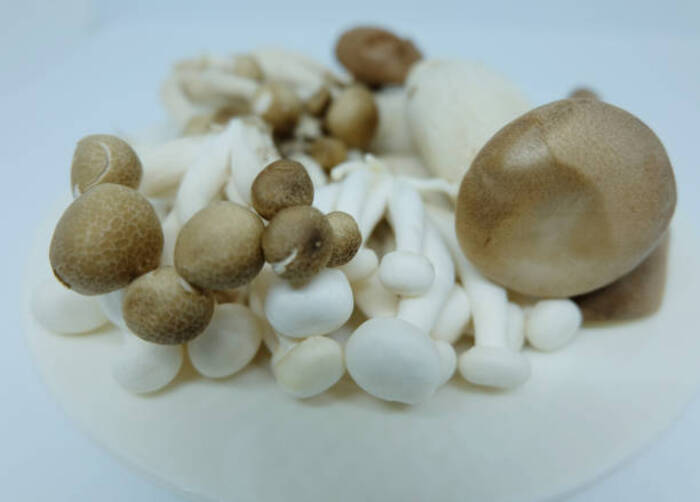 Quando possono mangiare i bambini i funghi di paglia?