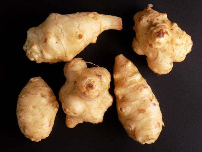 Sunchoke Jerusalem Artichoke 1