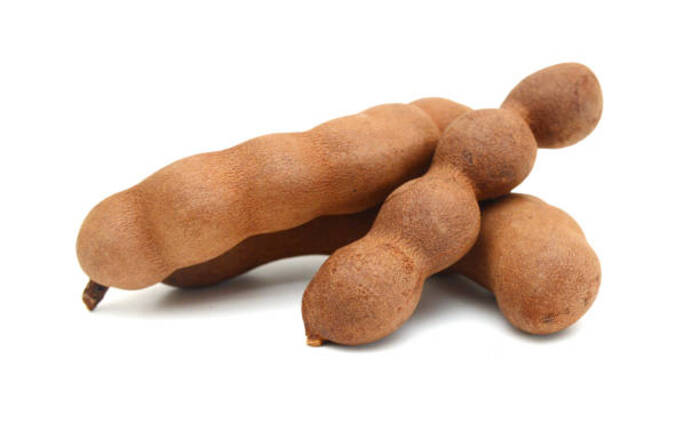 Tamarind 1