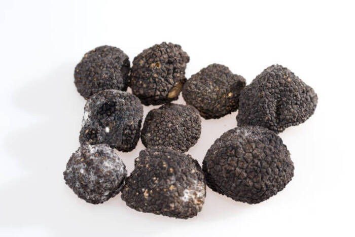 Truffle 2