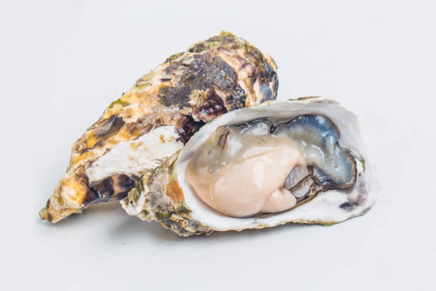 Quando possono i bambini mangiare le ostriche?