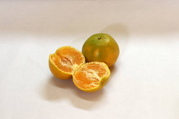 Quando possono i bambini mangiare il calamansi?